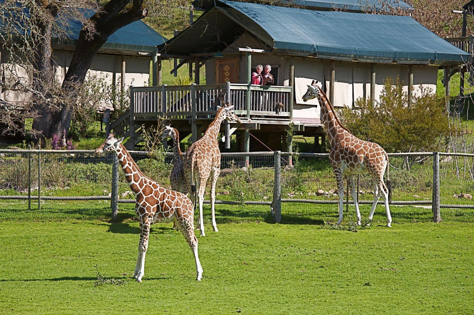 Safari West Hotel Mark West Springs Exterior foto